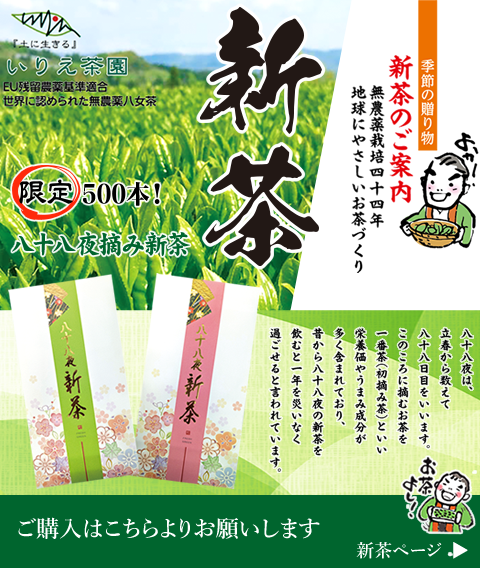 2026年 新茶予約はじまりました